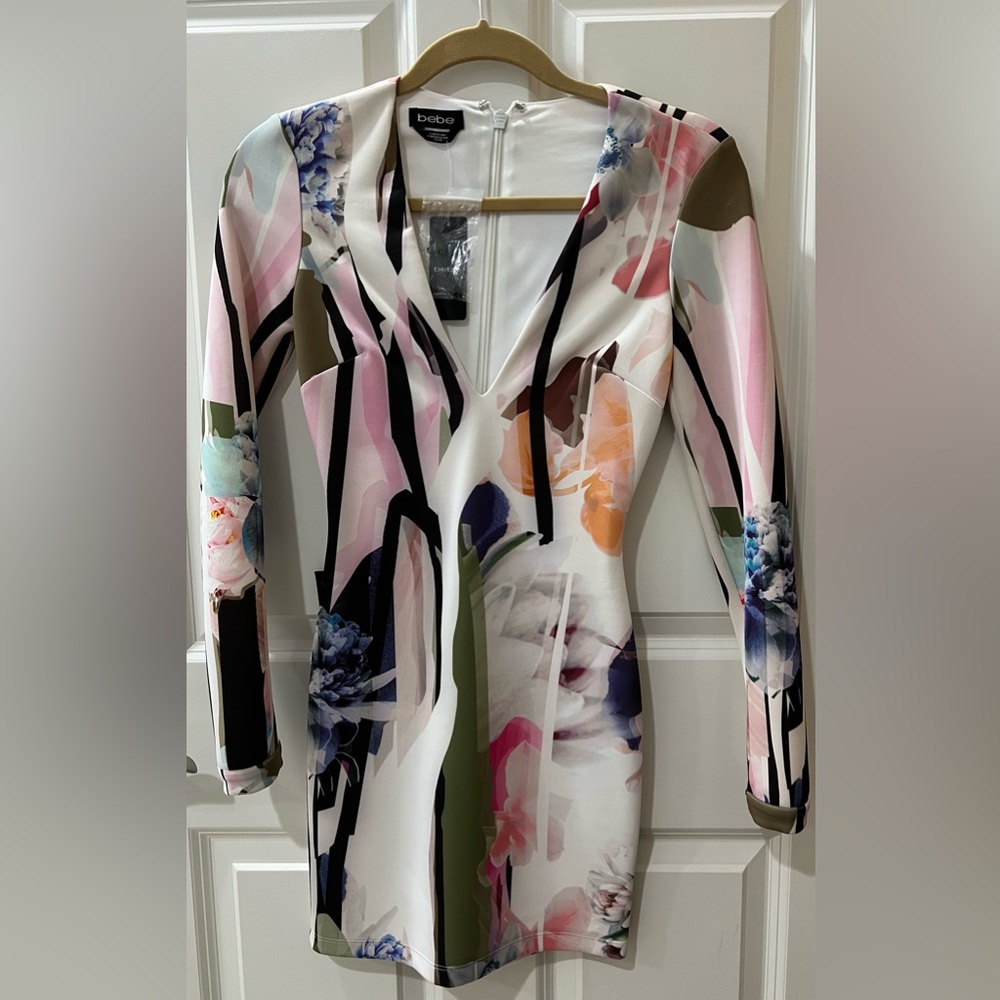 Woman’s Long Sleeve Mini Dress